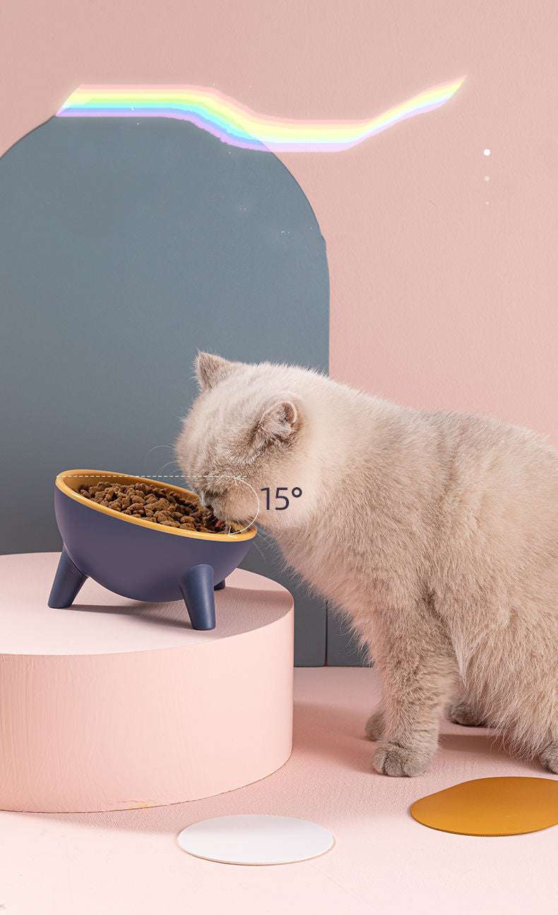 Elevated Nordic Pet Food Bowl - Kit & Kibble