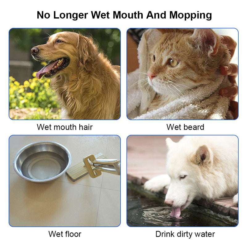 1.5L Anti-Overflow Pet Water Bowl - Kit & Kibble