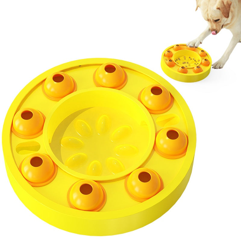 Slow Feeder & IQ Training Food Dispenser - Kit & Kibble