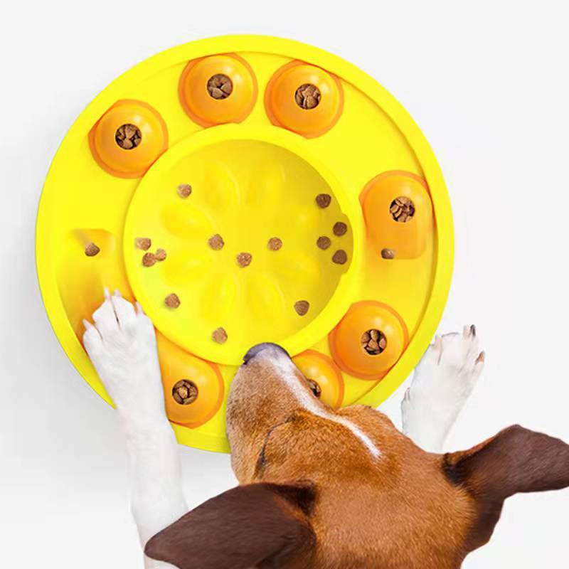 Slow Feeder & IQ Training Food Dispenser - Kit & Kibble