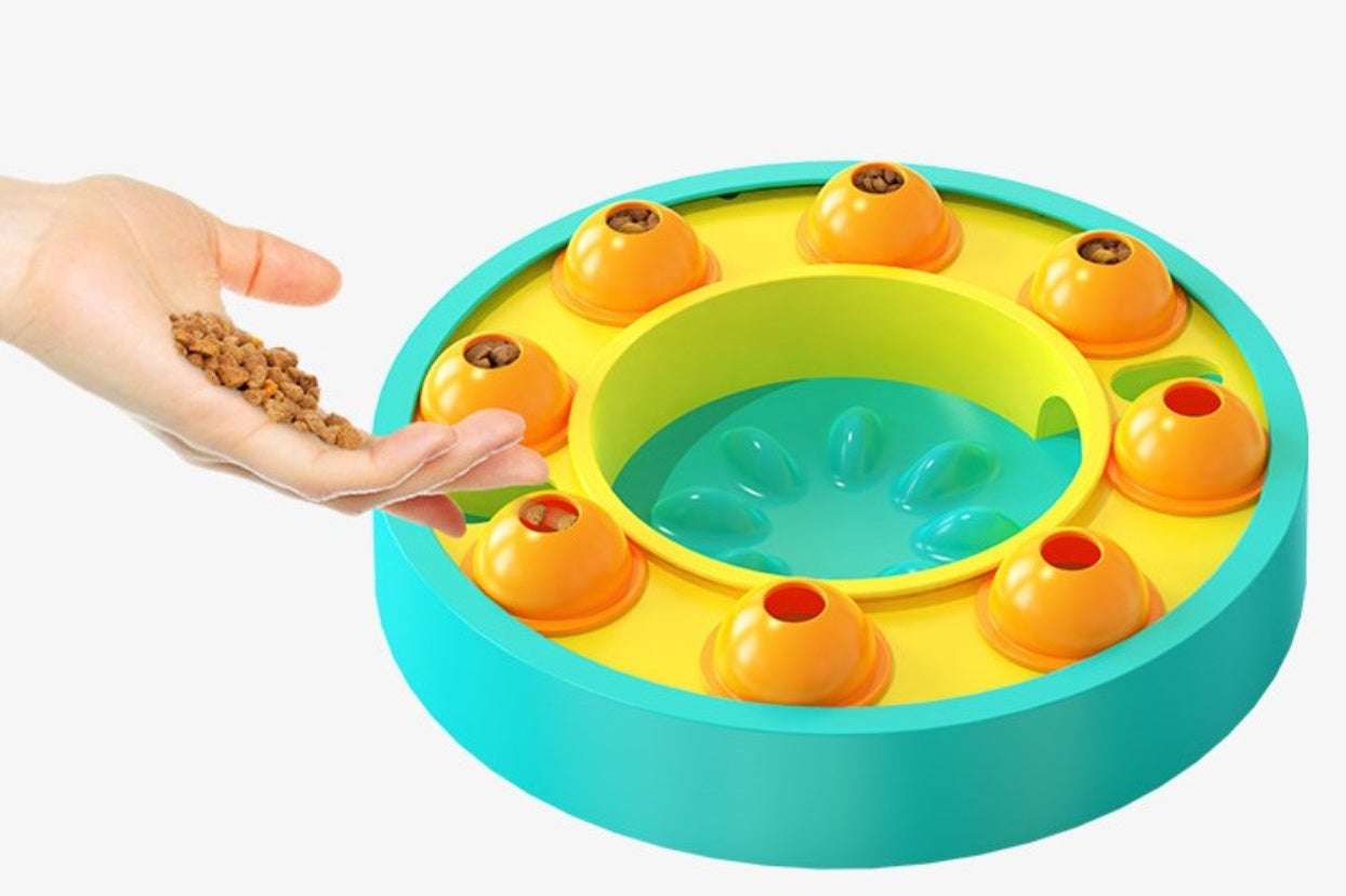 Slow Feeder & IQ Training Food Dispenser - Kit & Kibble