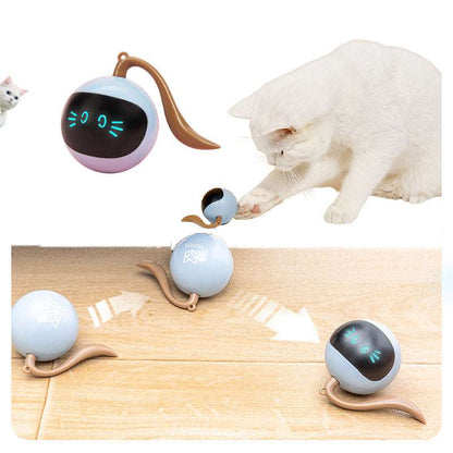 Pet Smart Interactive Colorful LED Rotating Ball - Kit & Kibble