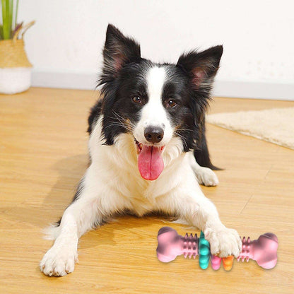 Indestructible Dog Chew Toy - Kit & Kibble