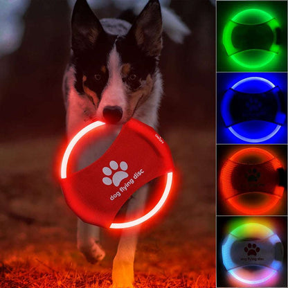 LED Glowing Dog Frisbee - Kit & Kibble