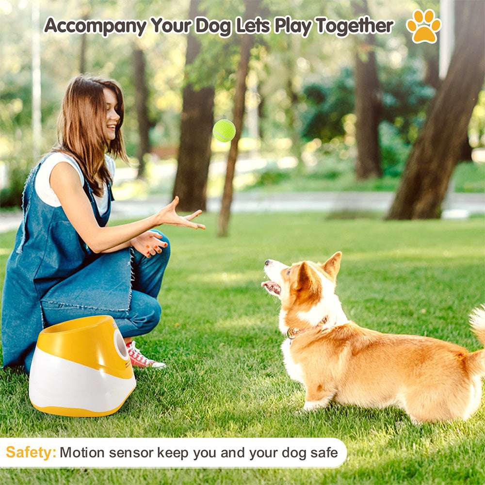 Automatic Pet Ball Launcher Toy - Kit & Kibble