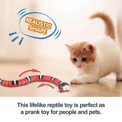 Smart Interactive Snake Cat Toy - Kit & Kibble