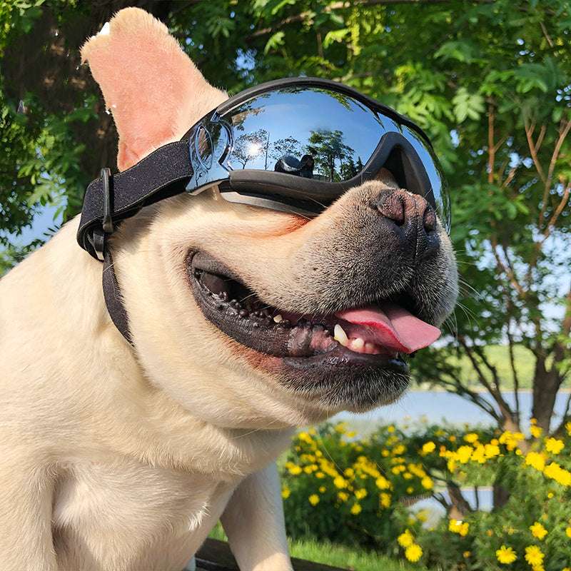 Windproof Dog Goggles - Kit & Kibble