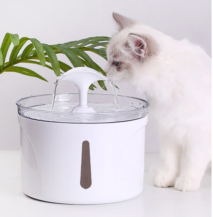 Automatic Pet Water Dispenser - Kit & Kibble