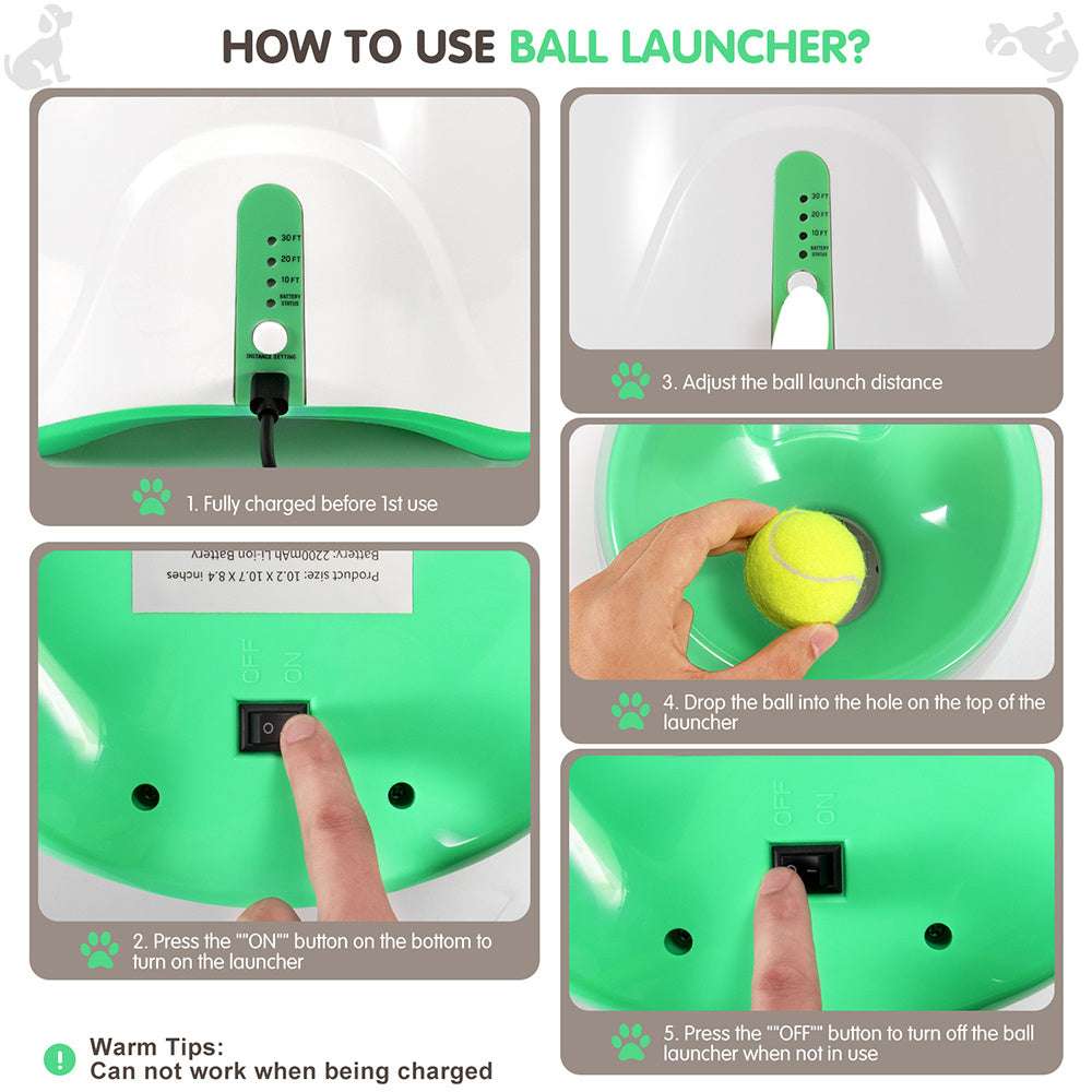 Automatic Pet Ball Launcher Toy - Kit & Kibble