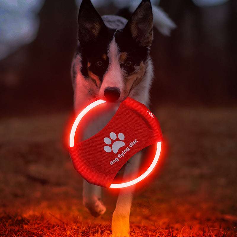 LED Glowing Dog Frisbee - Kit & Kibble