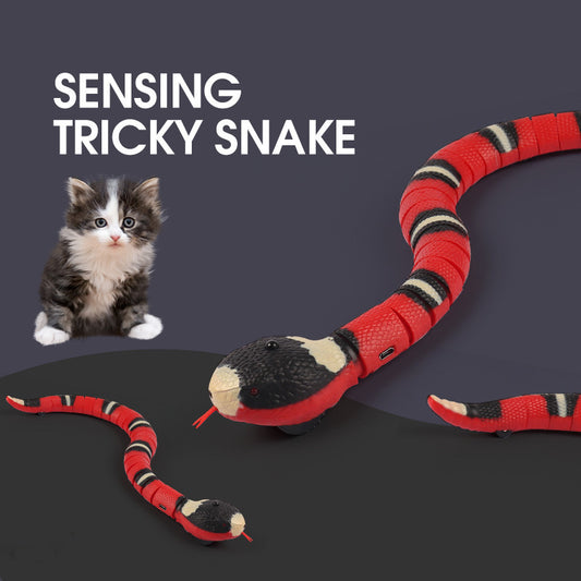 Smart Interactive Snake Cat Toy - Kit & Kibble