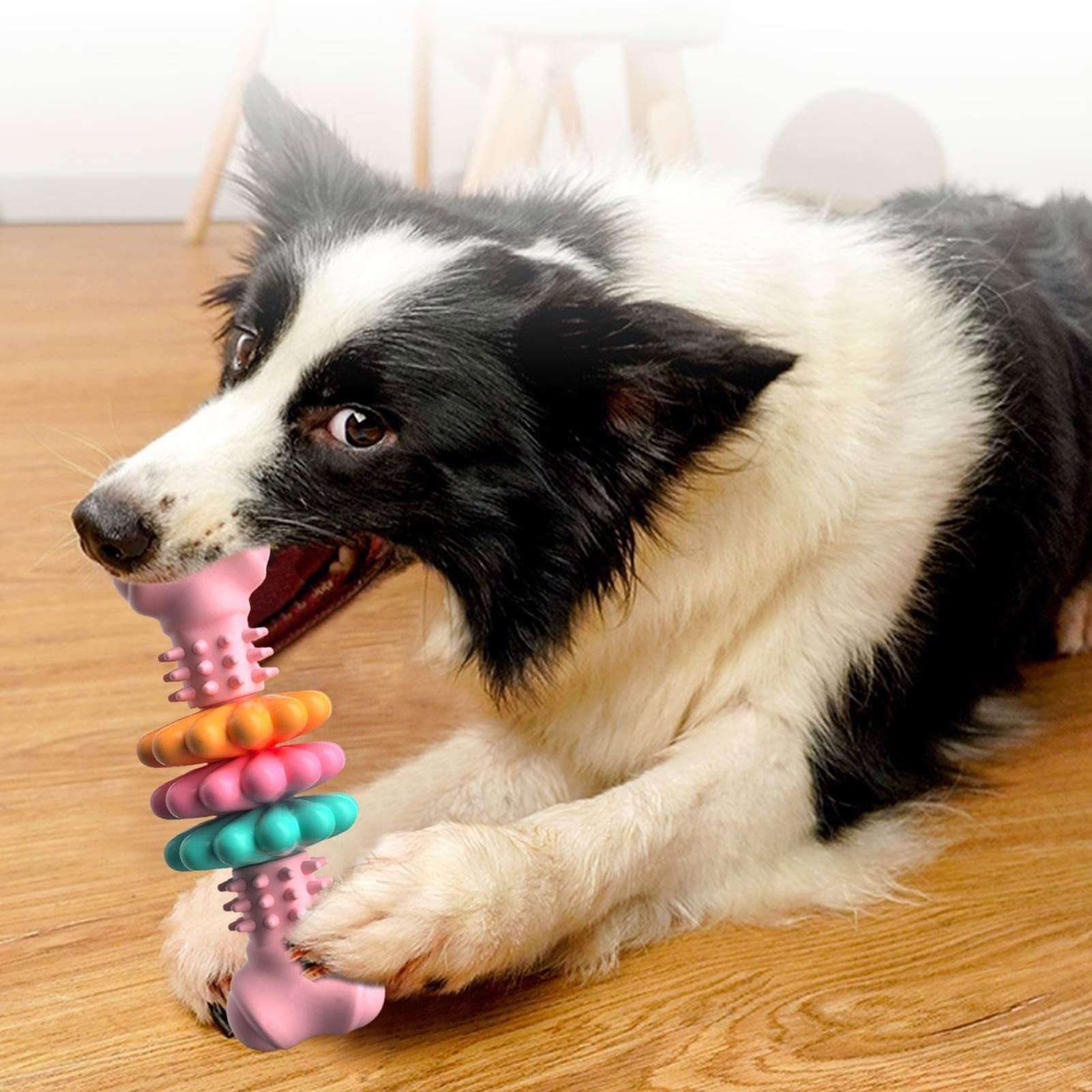 Indestructible Dog Chew Toy - Kit & Kibble