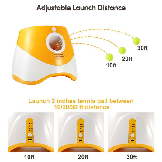 Automatic Pet Ball Launcher Toy - Kit & Kibble